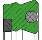 S24-P