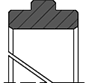 F06